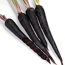 Black (Purple) Carrot
