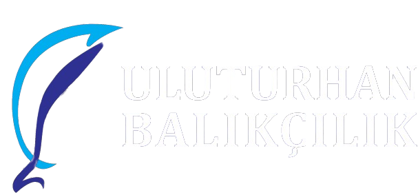 +90 539 610 99 88
